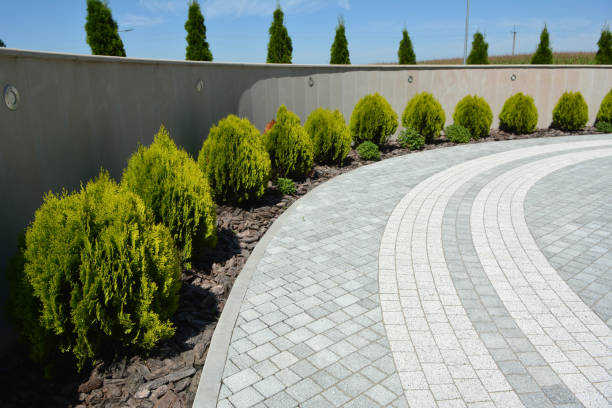 Best Decorative Driveway Pavers  in Columbus, WI